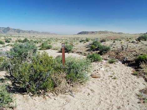 Mid Hills Loop Trail