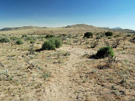 Mid Hills Loop Trail