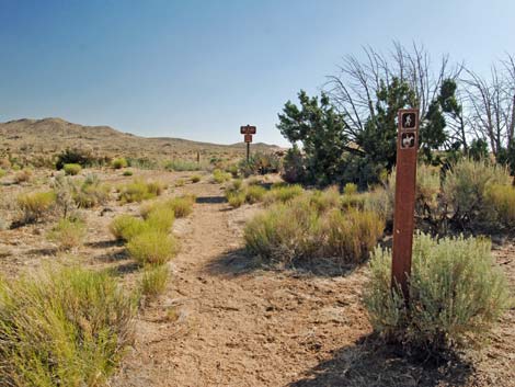 Mid Hills Loop Trail