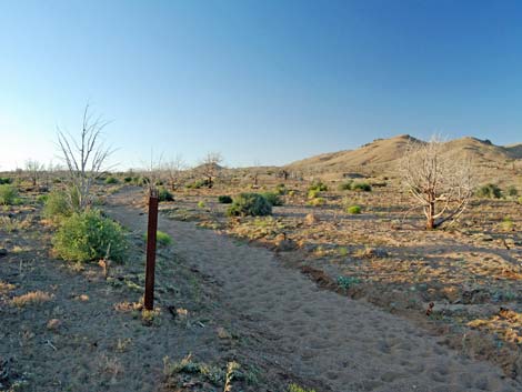 Mid Hills Loop Trail