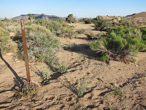 Mid Hills Loop Trail