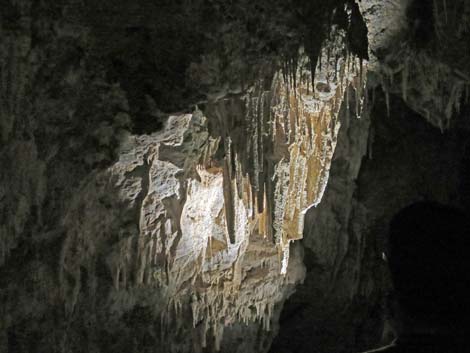 Mitchell Caverns Trail