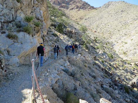 Mitchell Caverns Trail