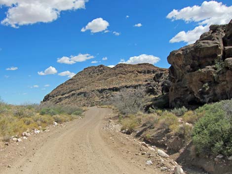 Rings Loop Trail