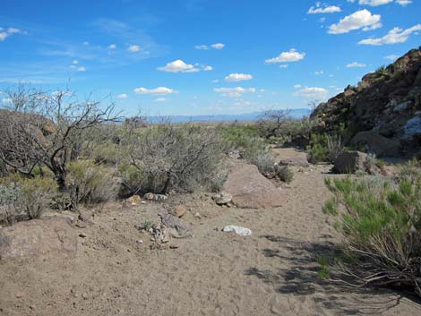 Rings Loop Trail