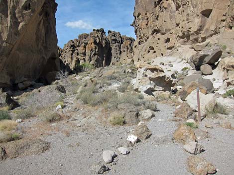 Rings Loop Trail