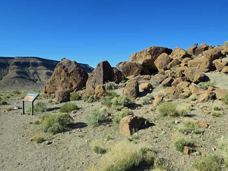 Rings Loop Trail