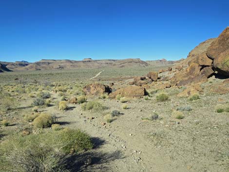 Rings Loop Trail