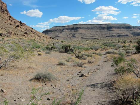 Rings Loop Trail