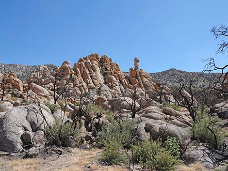 Caruthers Canyon Road