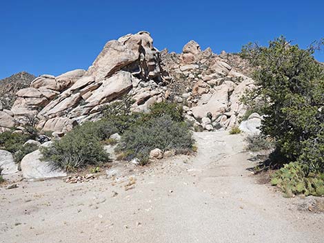 Caruthers Canyon Road