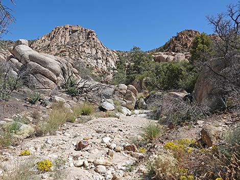 Caruthers Canyon Road