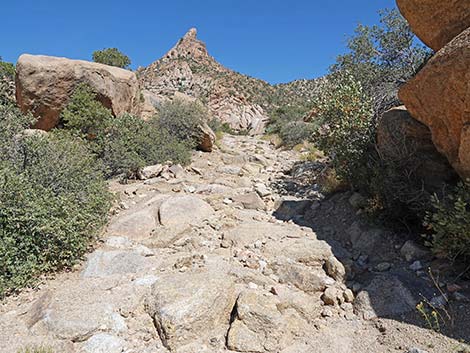 Caruthers Canyon Road