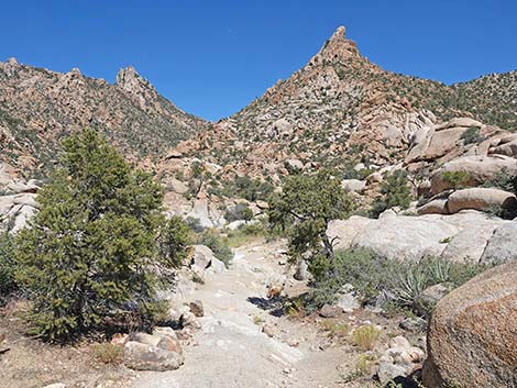 Caruthers Canyon Road