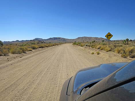 Cedar Canyon Road