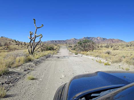 Ivanpah Road