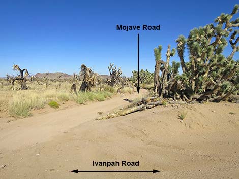 Ivanpah Road