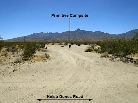 Kelso Dunes Road