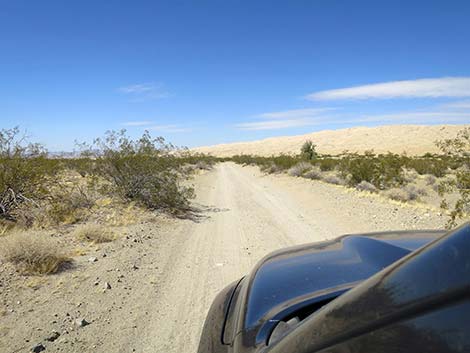 Kelso Dunes Road