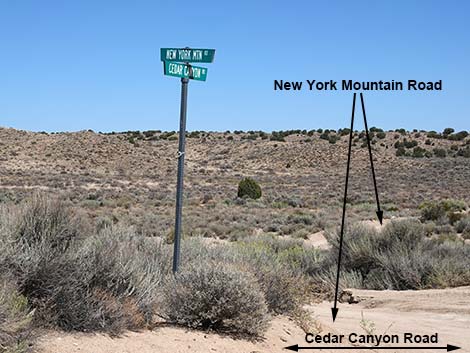 New York Mountain Road