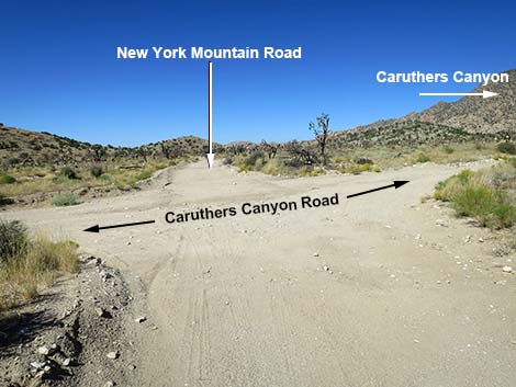 Caruthers Canyon Road