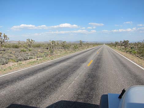 South McCullough Wilderness Area