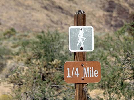 Wild Horse Trailhead