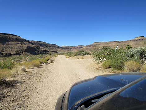 Wild Horse Road