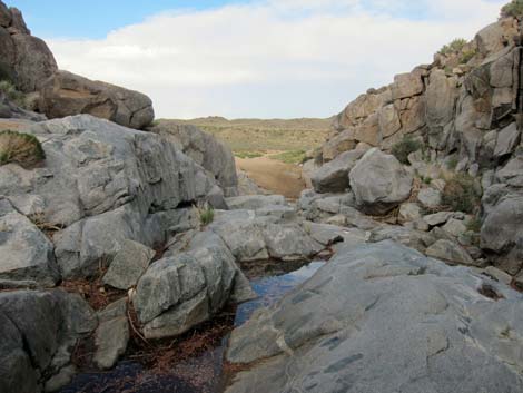 Rock Spring Loop Trail