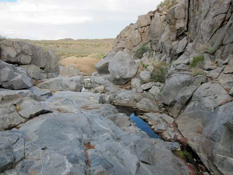 Rock Spring Loop Trail