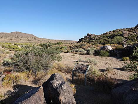 Rock Spring Loop Trail