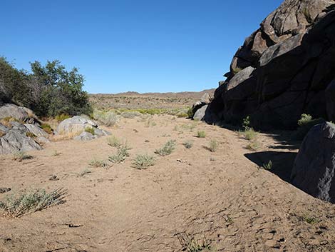 Rock Spring Loop Trail