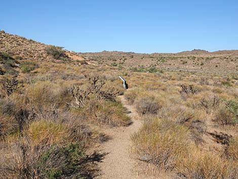 Rock Spring Loop Trail