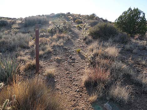 Rock Spring Loop Trail