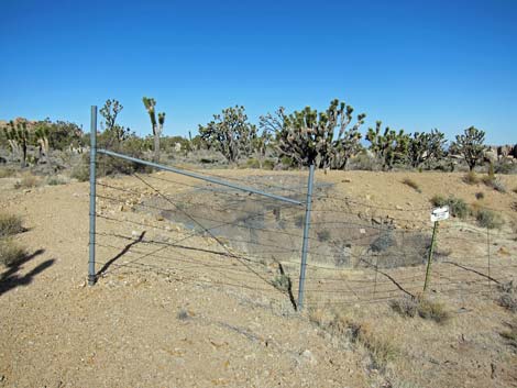 Teutonia Peak Trail