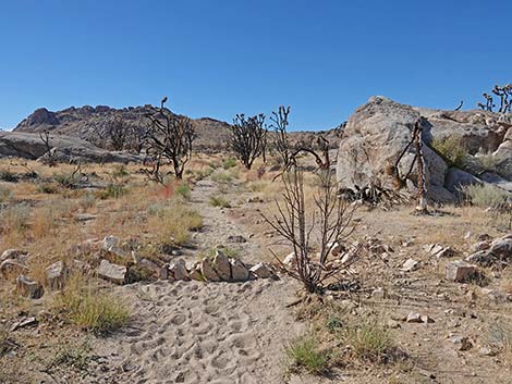 Teutonia Peak Trail