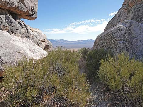 Teutonia Peak Trail