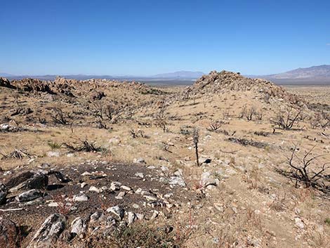 Teutonia Peak