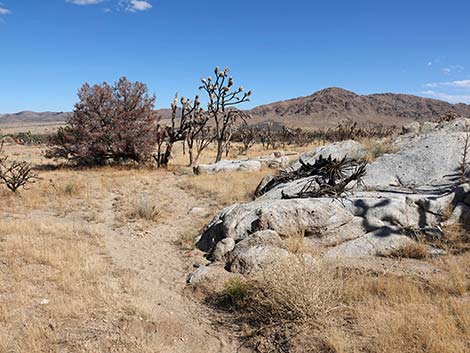 Teutonia Peak