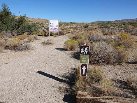 Hole-in-the-Wall Campground Trailhead