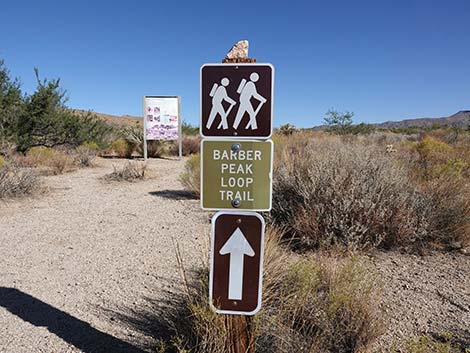 Hole-in-the-Wall Campground Trailhead