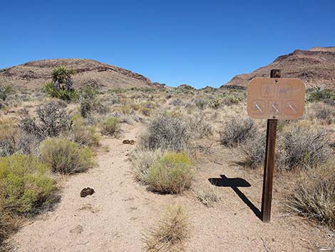 Wild Horse Trailhead