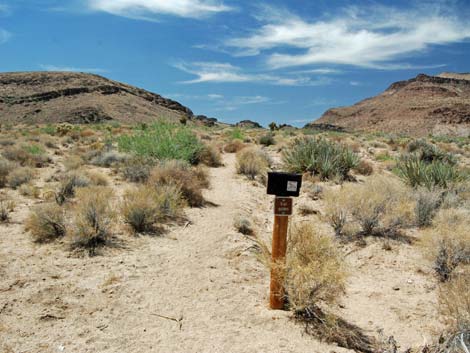 Wild Horse Spur Trail