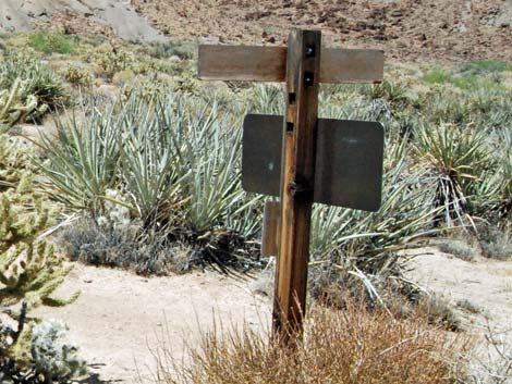 Wild Horse Spur Trail