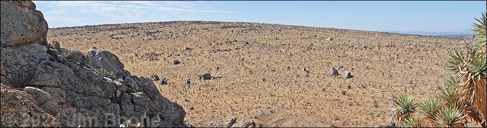 Hiking Around Mojave National Preserve