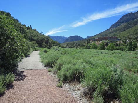 Acastus Trail