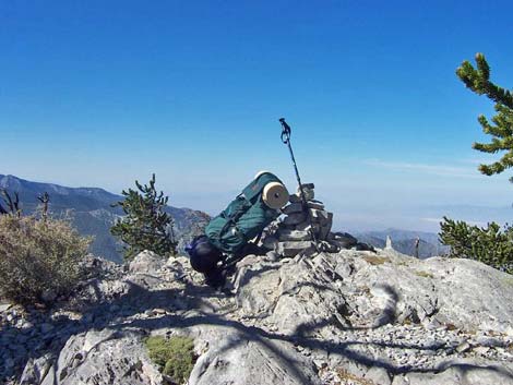 Mt. Charleston Wilderness Area