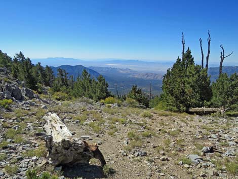 Bonanza Peak Trail