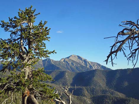 Bonanza Trail