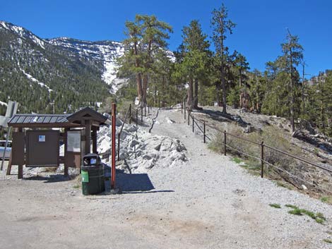 Bristlecone Trailhead